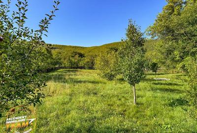 Casă individuală cu 2 camere cu Teren 2989 Mp în Zagon - 30