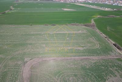 Teren Construcții intravilan de 14000 mp, în Covaci - 5