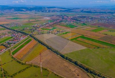 Teren intravilan 10,000 mp Bod - 5