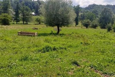 Oferta luna aceasta! Teren 10000 mp in Corbi Arges - 2