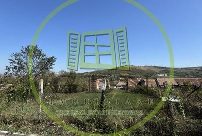 Teren intravilan de vanzare | 1352 mp | Comuna Pauca - 3