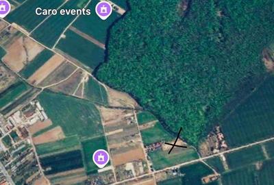 Teren de 500 mp, în Ciolpani - 3