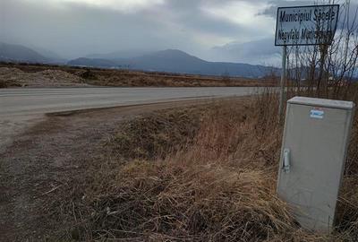 Teren agricol extravilan de 9000 mp, în Nord-Vest - 10