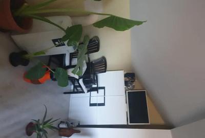 Casă cu 3 camere în Săcălaz - 2