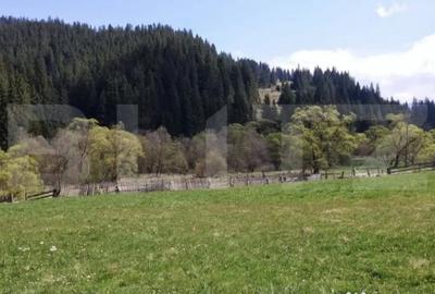 Teren de 1299 mp, în Central - 3