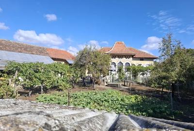 Casa cu teren 1480 mp, la 5 minute de Dunare Crivina, comuna Burila Mare, jude?ul Mehedin?i - 2