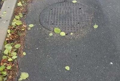 Valu lui Traian, teren intravilan, 3.200mp, vanzari - 3