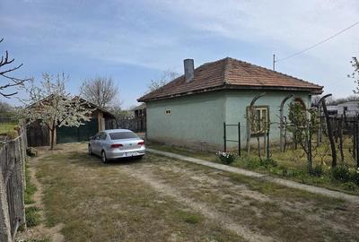 Casă cu 3 camere cu Teren 3600 Mp în Celaru - 8