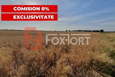 COMISION 0% Teren de vanzare intravilan de 24.700 mp - Padureni - 12