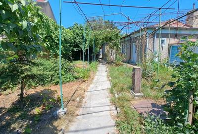 Teren Construcții intravilan de 376 mp, în Delfinariu - 3