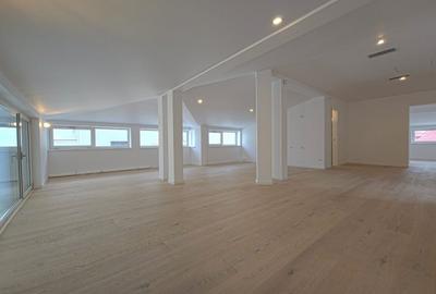 Vila recent renovata Dorobanti - 12