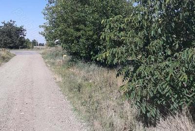 Teren de 4000 mp, în Căldărușeanca - 1