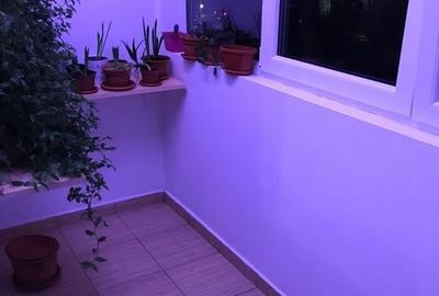 Apartament cu 3 camere decomandat în Alexandru Obregia - 4