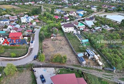 Teren de 1689 mp, în Bradu - 3