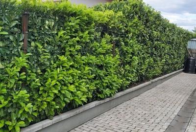 Casă individuală cu 3 camere cu Canalizare în Central - 3