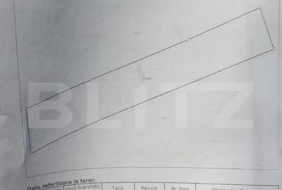 Teren 300 mp + Cabana,zona Livezile,Valea Lunga - 11