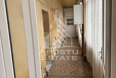 Casă unifamilială în Remetea Mare  cu teren de 3383 mp. - 5
