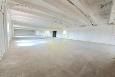 Hala de depozitare sau productie | Șagului | Steaua - 2