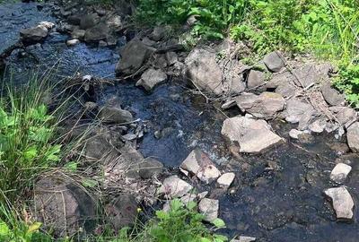 Casă cu 3 camere în Breaza - 4