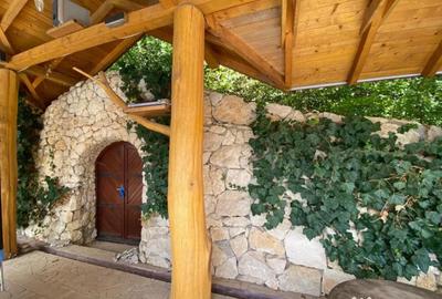 Casă cu 7 camere cu Teren 17000 Mp în Cărbunari - 16