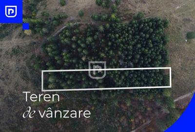 Teren situat in Frasin | BUCOVINA - 6