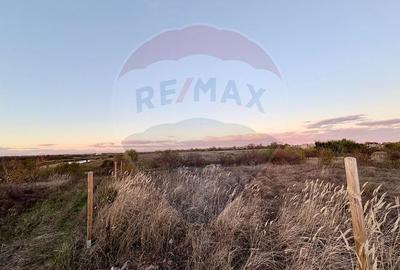 Oportunitate de investitie - teren 804 mp, Corbeanca - Strada Scolii Oportunitate de investitie - teren 804 mp, Corbeanca - Strada Scolii - 9