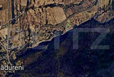Teren de 11597 mp, în Pădureni (Chinteni) - 2
