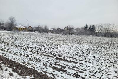 Teren de 1542 mp, în Central - 2