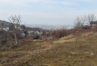 Spațiu comercial, în Vlădiceni - 3