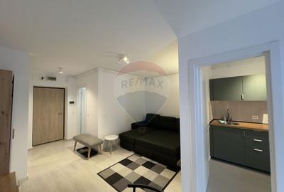 De inchiriat | Studio + loc de parcare | Hils Brauner - 1