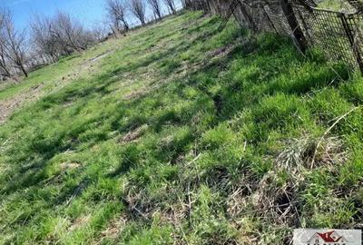 Vanzare casa veche in Ohaba -1400 mp teren Vanzare casa veche in Ohaba -1400 mp teren - 8