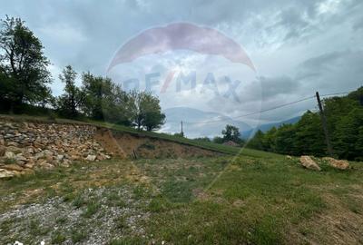 Teren de 2000 mp, în Copalnic - 6