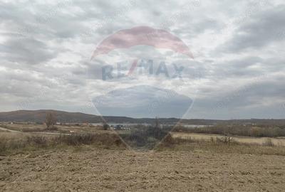 Teren de 11900 mp, în Fârdea - 2