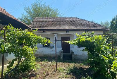 Teren + casa Hinova - 1