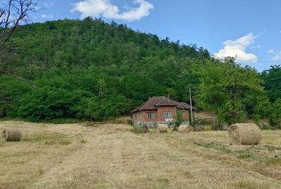 Teren, padure si casa in Dumbrava de Jos, jud. Hunedoara - 2