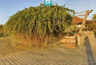 Casă individuală cu 6 camere cu Canalizare în Miniș - 33