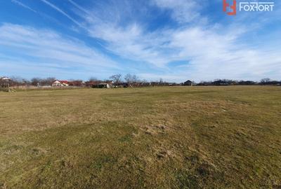 Teren Construcții intravilan de 6400 mp, în Pădureni (Jebel) - 17