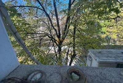 Apartament 3 camere Copou - 14