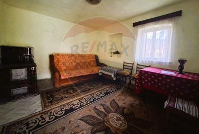 Casă cu 2 camere cu Teren 703 Mp în Gura Râului - 12