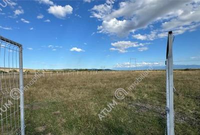 Teren 4200 mp situat in extravilanul zona Calea Surii Mici S - 3