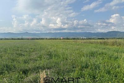 Teren extravilan 4800mp acces auto, Cristian - 2