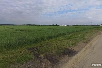 Teren de 25000 mp, în Moara Vlăsiei - 2