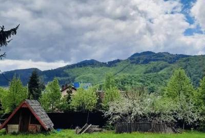 Teren de 800 mp, în Dârste - 7