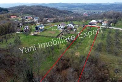 Teren în Borovinești - 9