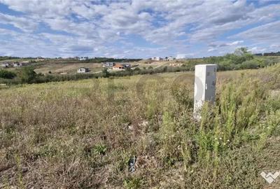 Teren de 599 mp, în Săldăbagiu de Munte - 5