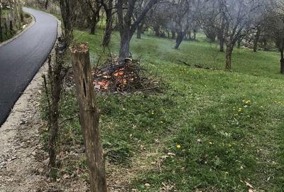 Spațiu comercial, în Berbești - 5