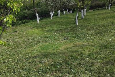 Casă cu 2 camere cu Teren 3500 Mp în Central - 9