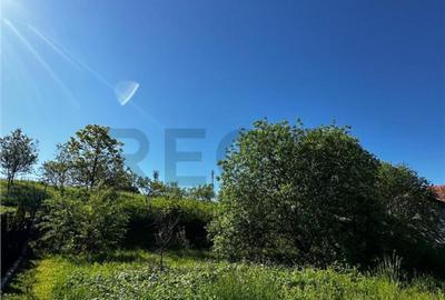 Reco Teren intravilan Beius - 2