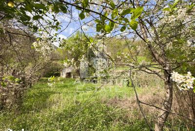 Casă cu 2 camere cu Teren 725 Mp în Central - 6