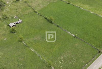 Teren Manastirea Humorului 4000mp - 3